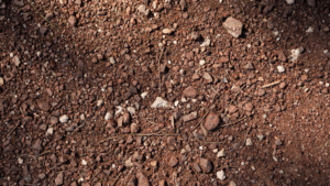 A close up image of topsoil with various stones and some grass.