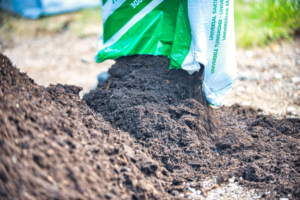 Fresh topsoil being poured from a bag onto a garden bed, creating a nutrient-rich layer for planting, lawn repair, or landscaping.