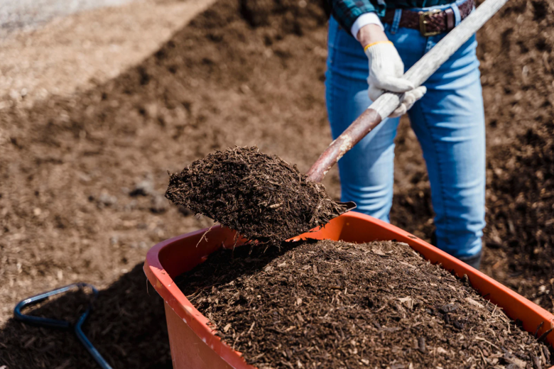 Person in blue jeans and gloves shoveling dark brown mulch into a red wheelbarrow beside a large outdoor mulch pile on bare soil.